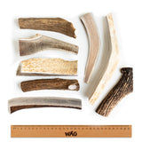 WAG Split Deer Antler