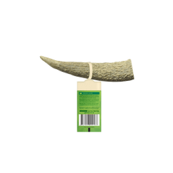 WAG Whole Small Antler