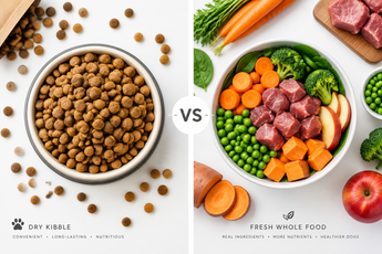 Is Kibble Bad for Dogs? A Vet’s Honest Answer